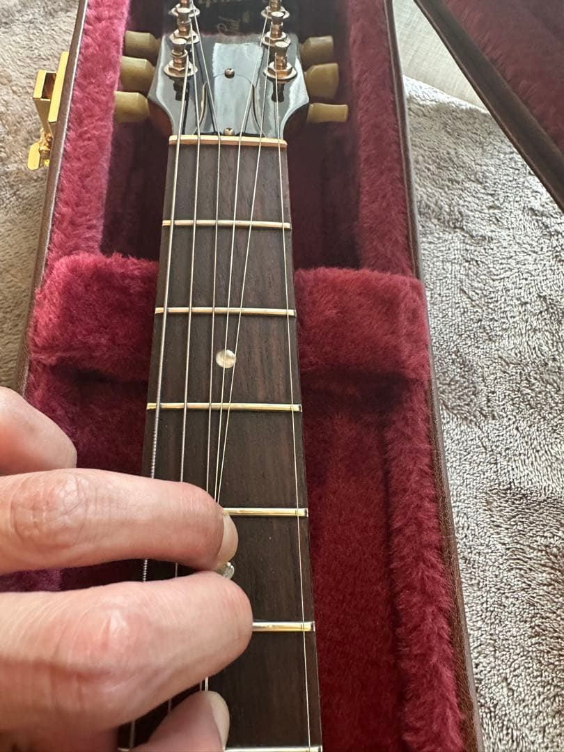 Gibson Les Paul Special P100 ハードケース