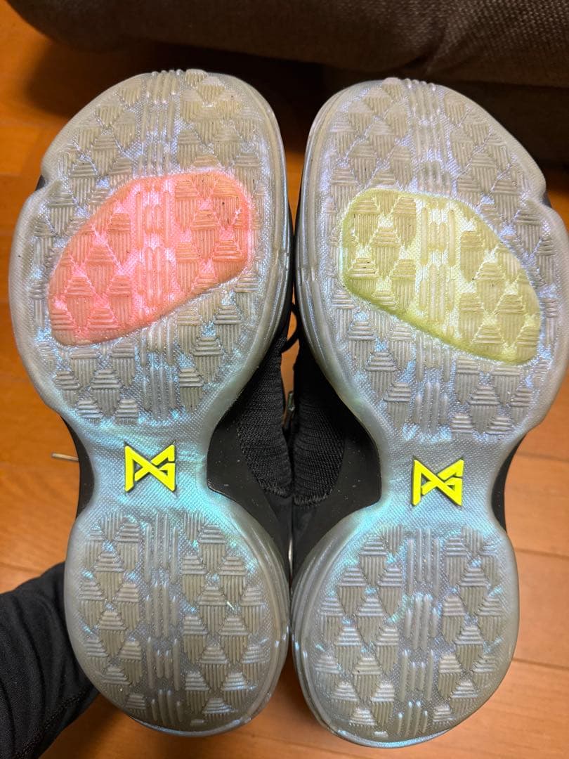 シューズ(男性用) Nike PG1 SHINING 27.0