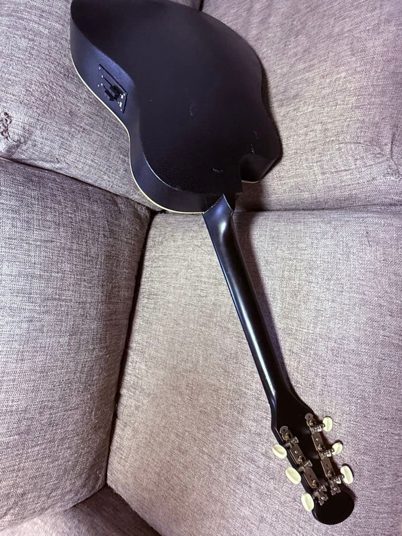 Don-Jon アコースティックギター 青