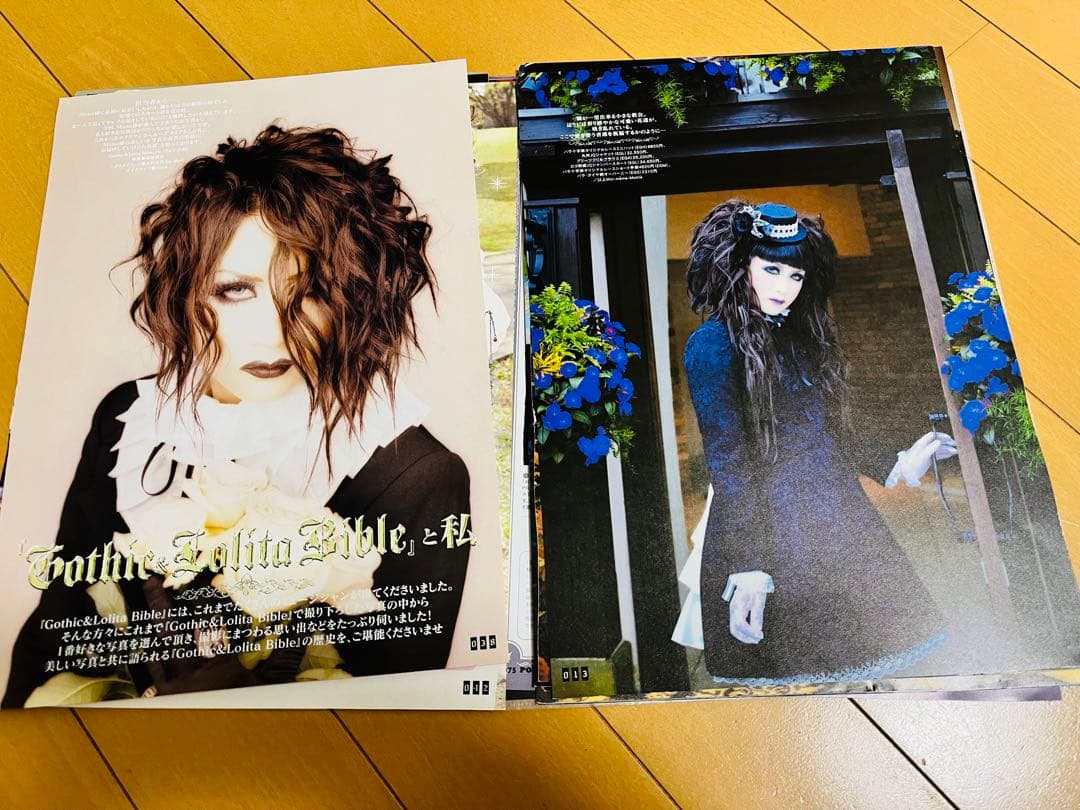MALICE MIZER Mana様切り抜きセット