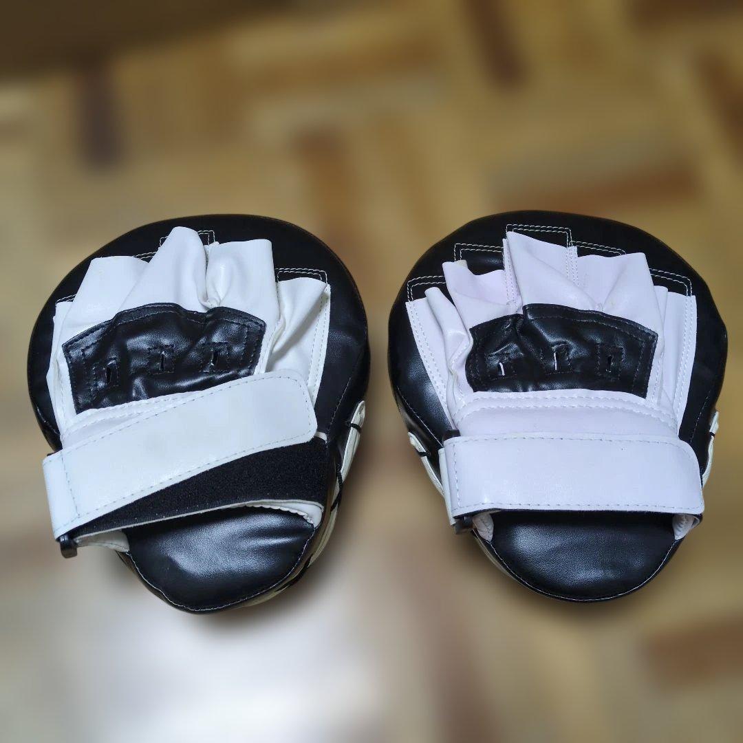 RDX ミット ボディーメーカー グローブ パンチングミット まとめ売り