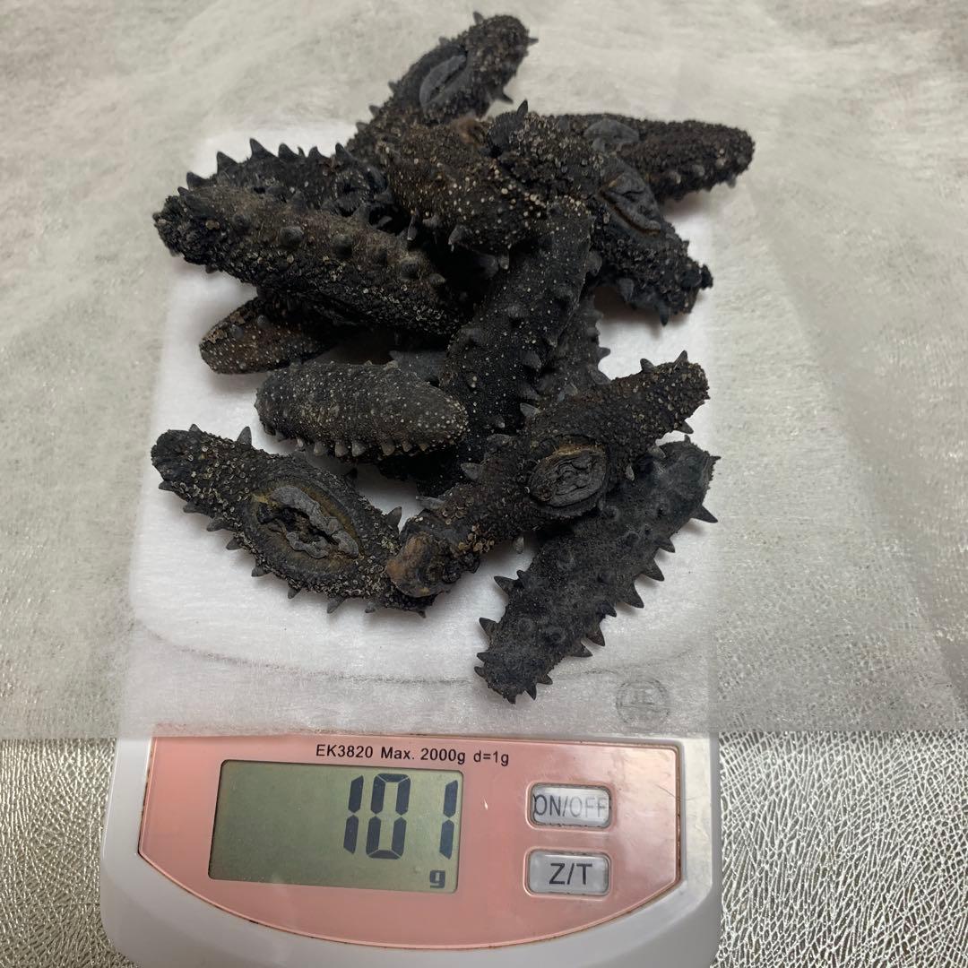 乾燥海参 A品101g