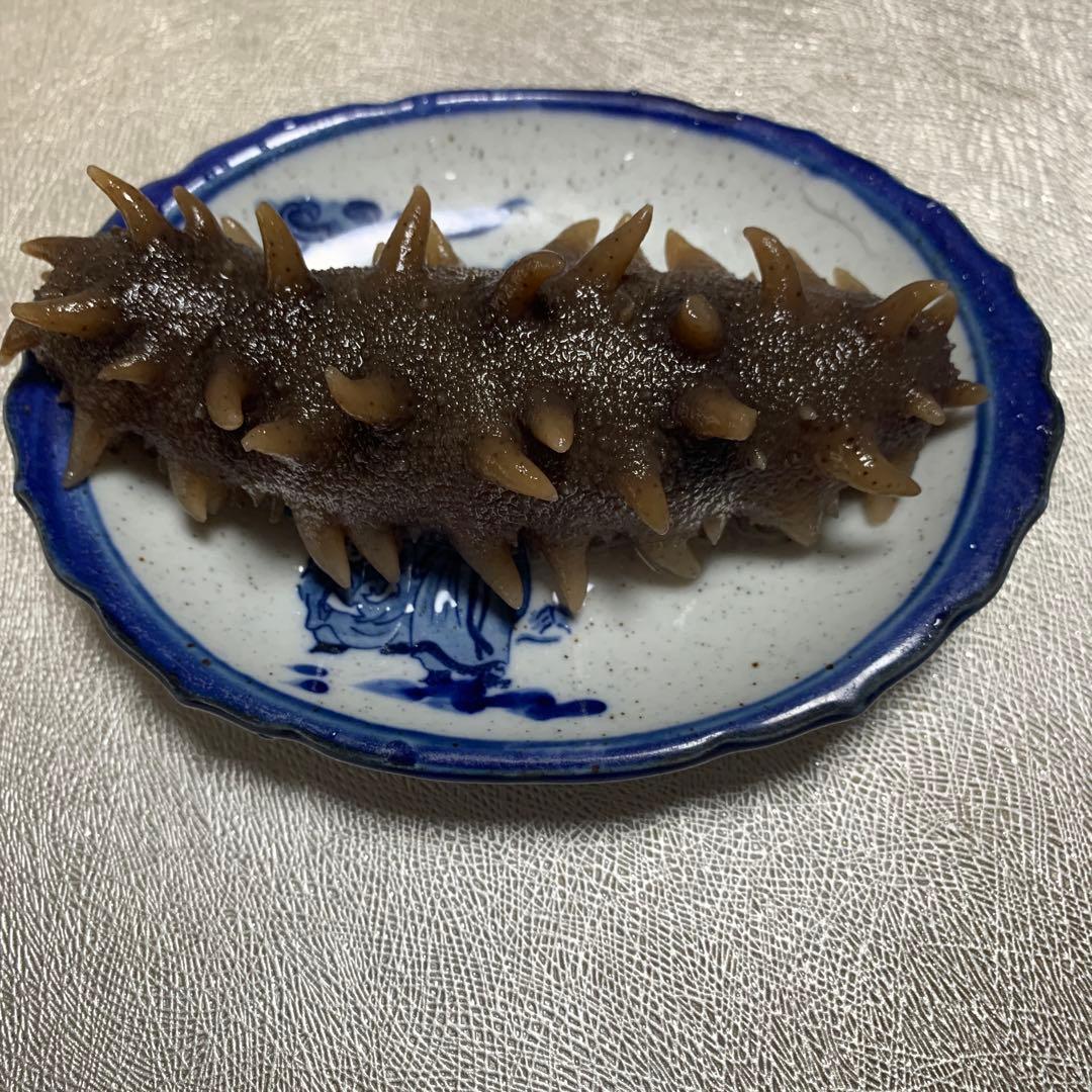 乾燥海参 A品101g