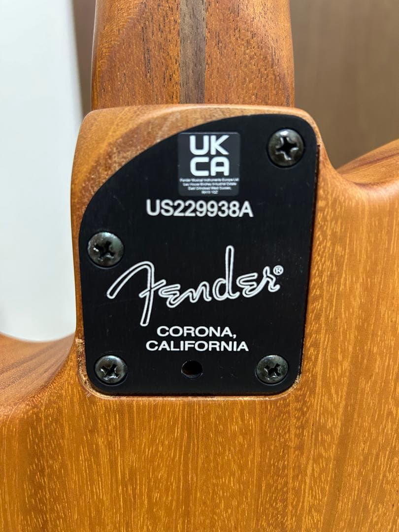 ギター Fender/American Acoustasonic Telecaster