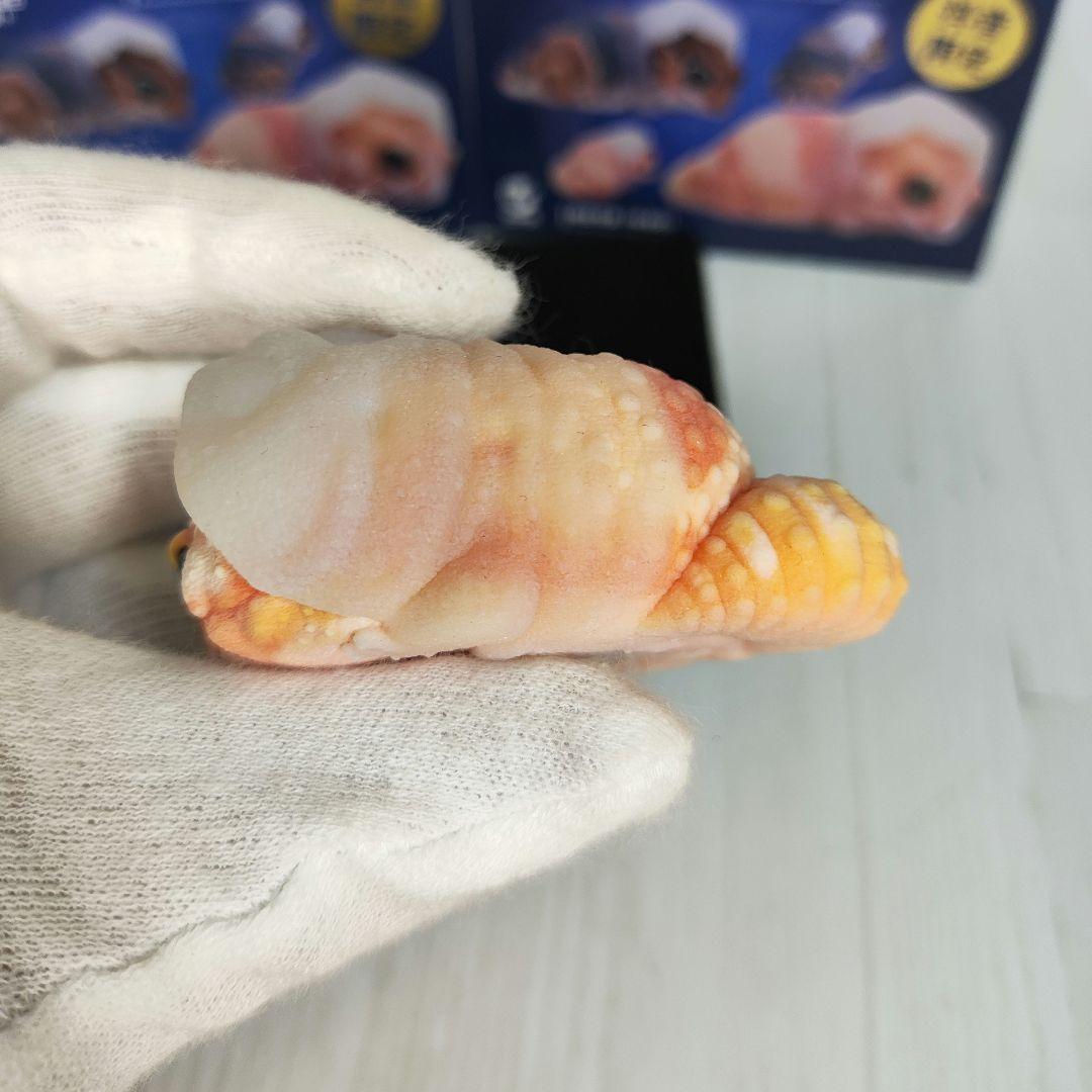 【動物の惑星】88体限定★ニシアフリカトカゲモドキ（脱皮版）2体!! フィギュア