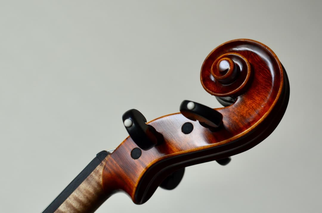 【新品】Gliga Cristian Maestro ガルネリ 4/4