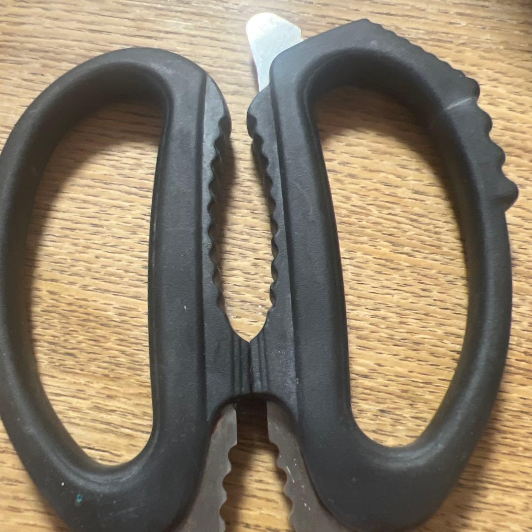 BUCK ステンレススチール はさみ レザーケース付き