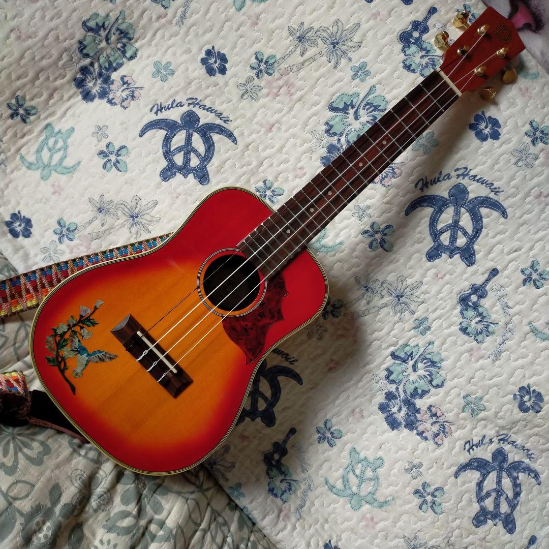 ウクレレ　コンサートsize