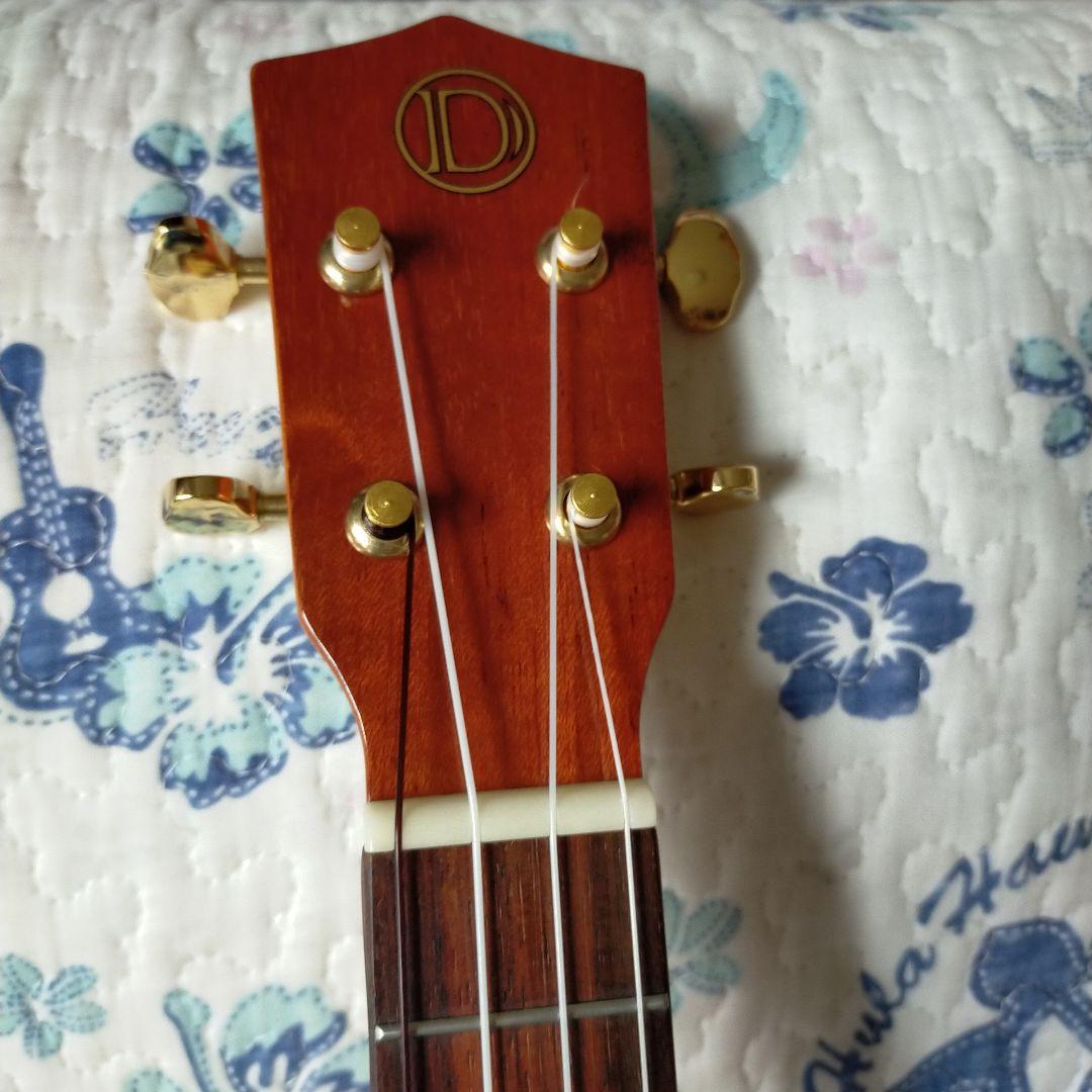 ウクレレ　コンサートsize