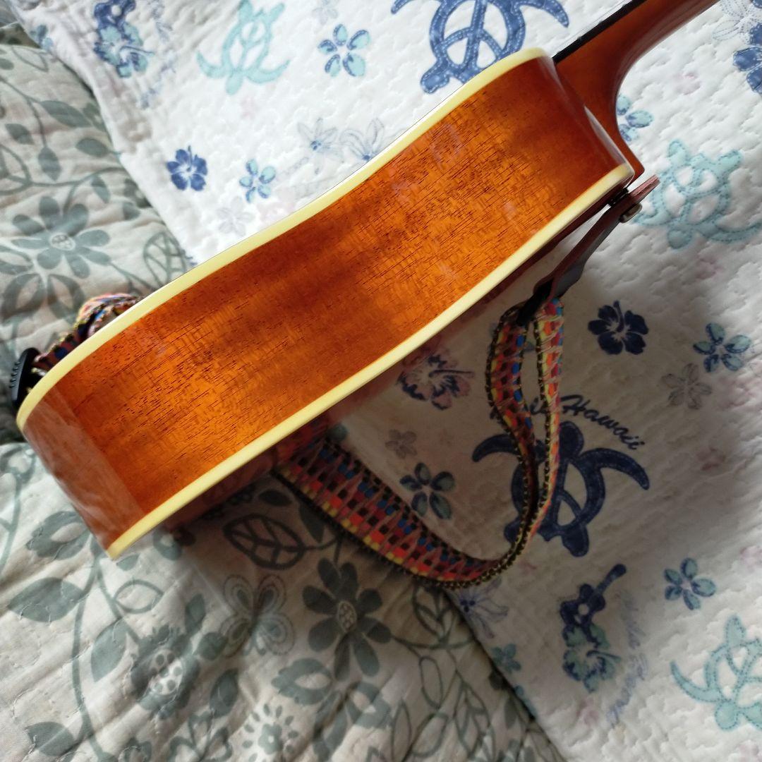 ウクレレ　コンサートsize