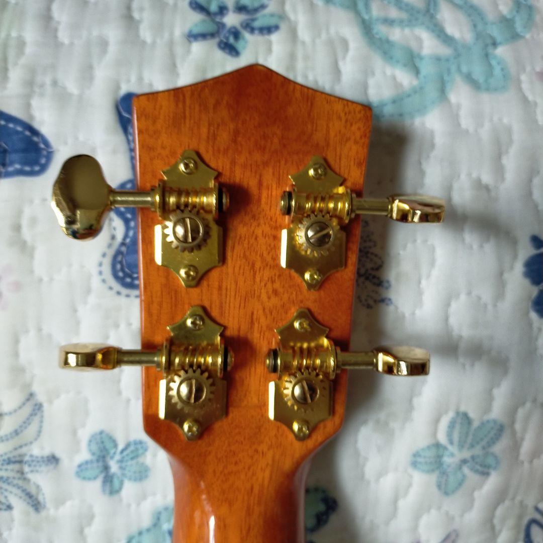 ウクレレ　コンサートsize