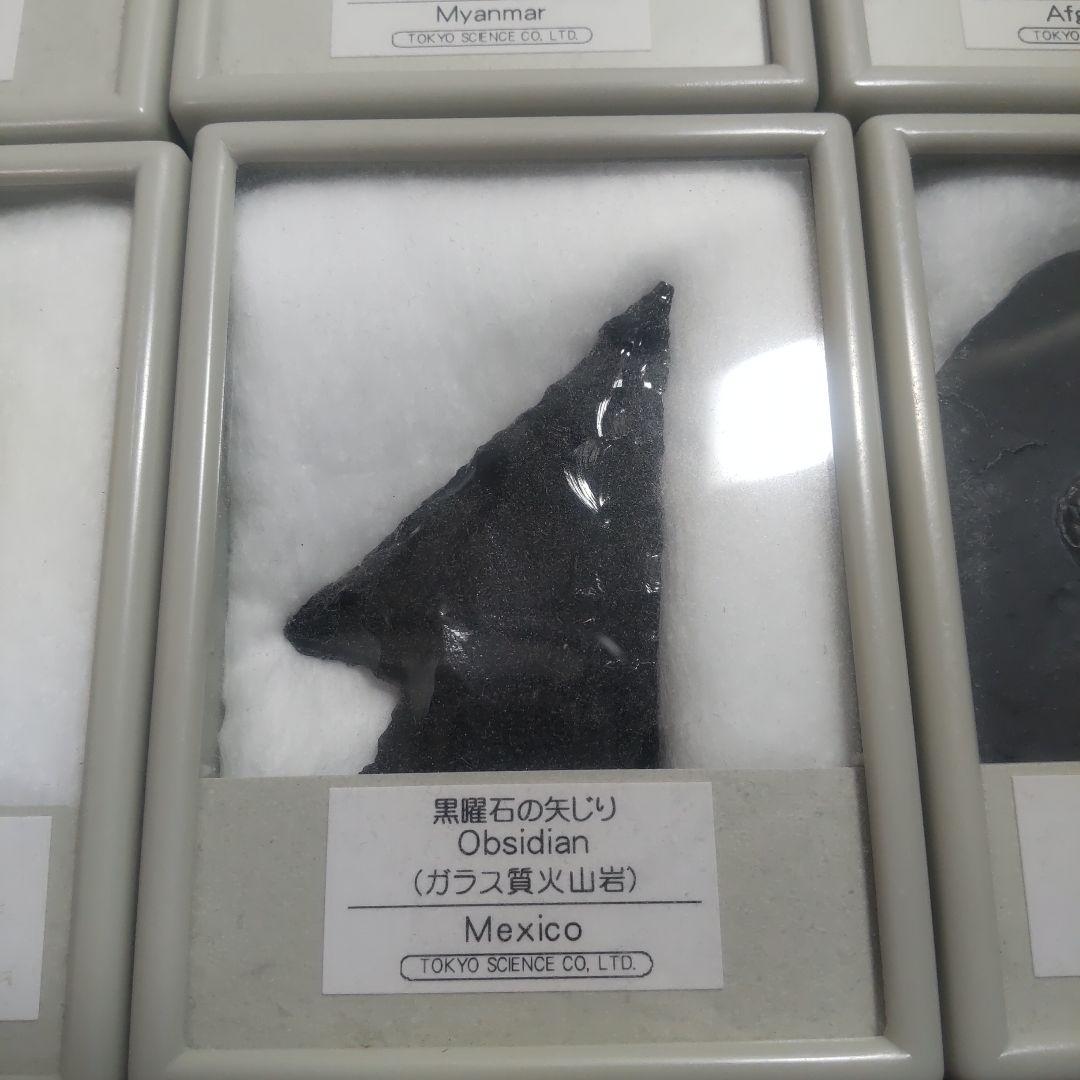 化石・鉱石セット