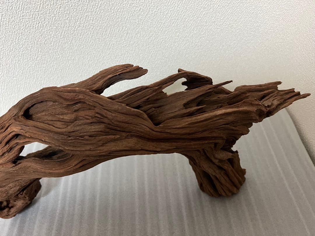 HX-062流木　ホーンウッド　マシンガンウッド　アクアリウム　ブランチウッド