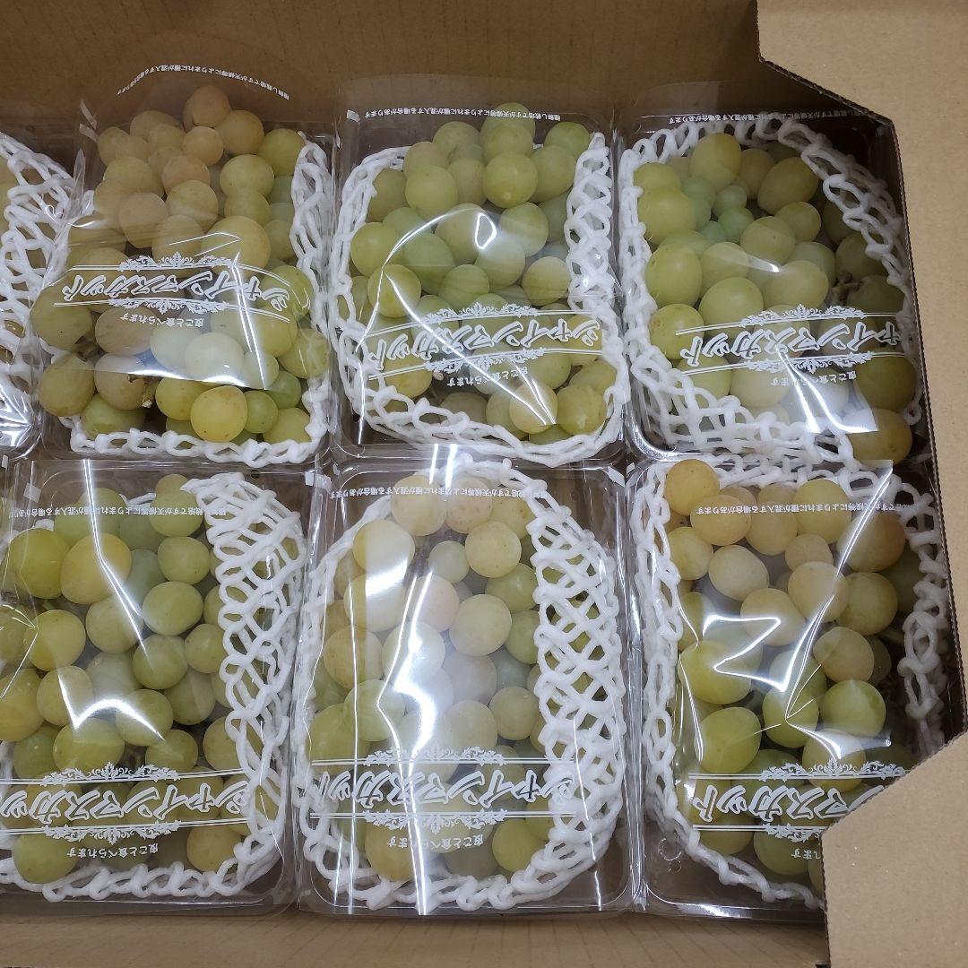 3️⃣ 山梨県産 シャインマスカット １０P入り 箱込み5.8キロ