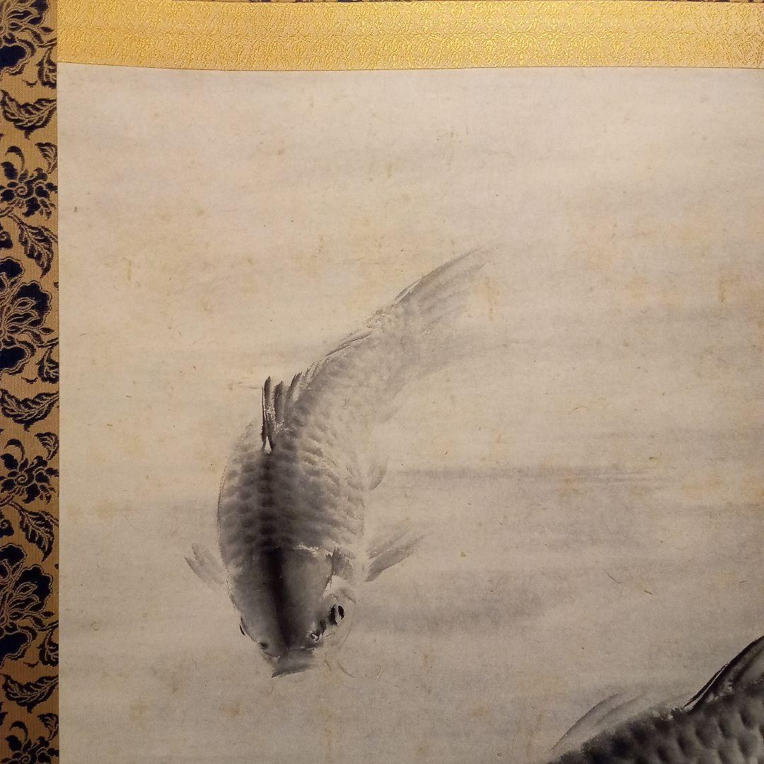 真作「名品希少大作」掛け軸 鯉の光達 森田光達(雙鯉・識箱)