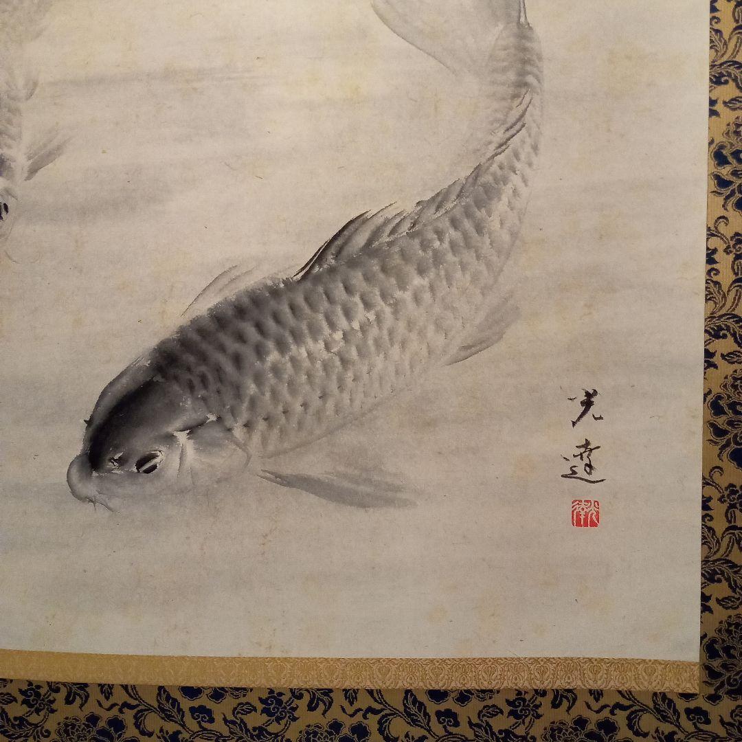 真作「名品希少大作」掛け軸 鯉の光達 森田光達(雙鯉・識箱)