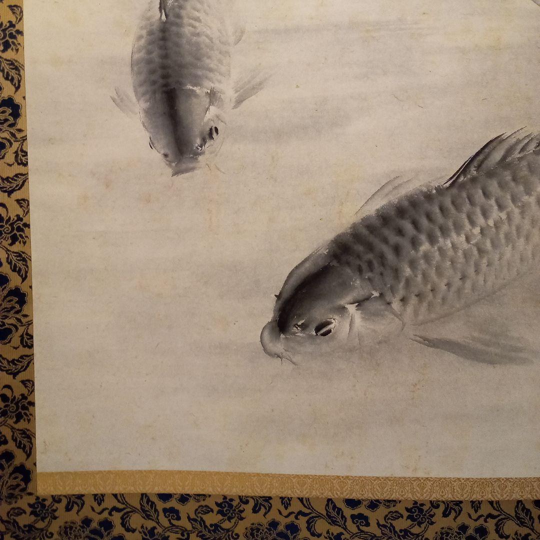 真作「名品希少大作」掛け軸 鯉の光達 森田光達(雙鯉・識箱)