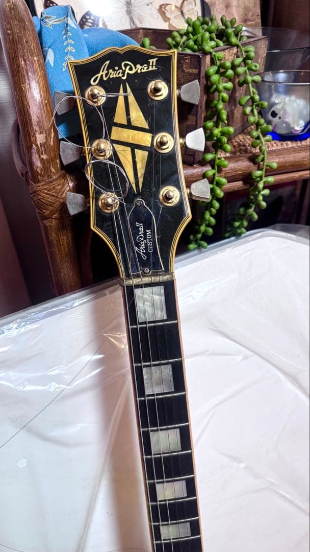 ギター Kevin Hochbaum