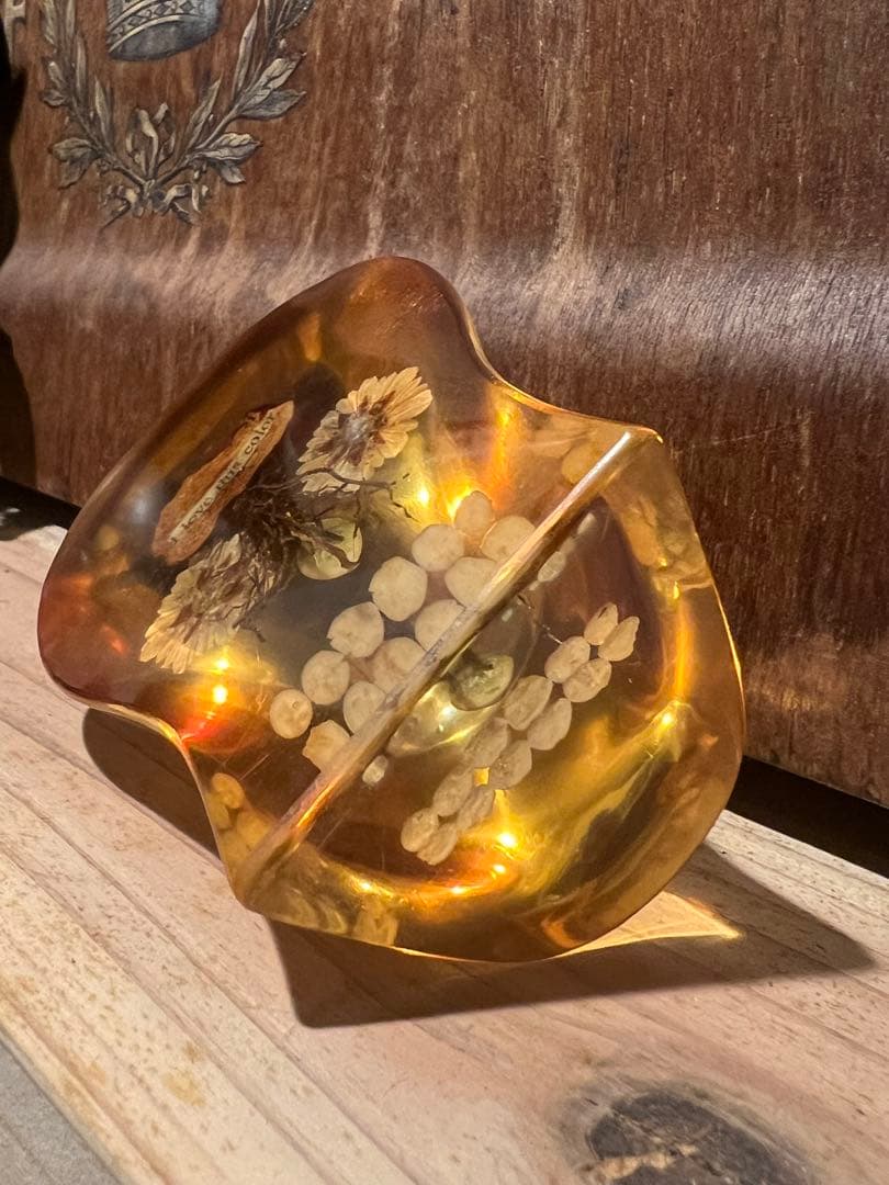 dugudagii スカル　初期作品　現代アート　ドライフラワー