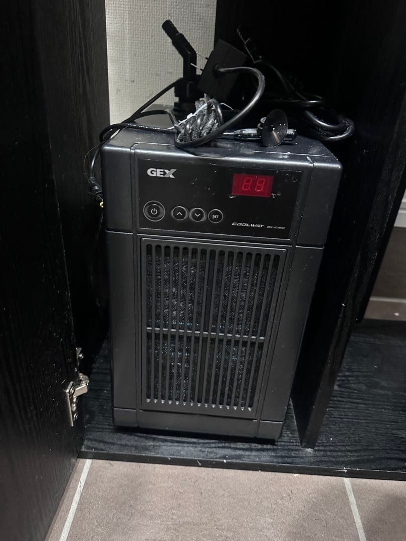 <海水魚・サンゴ即飼育>60cmガラス水槽　セット売り