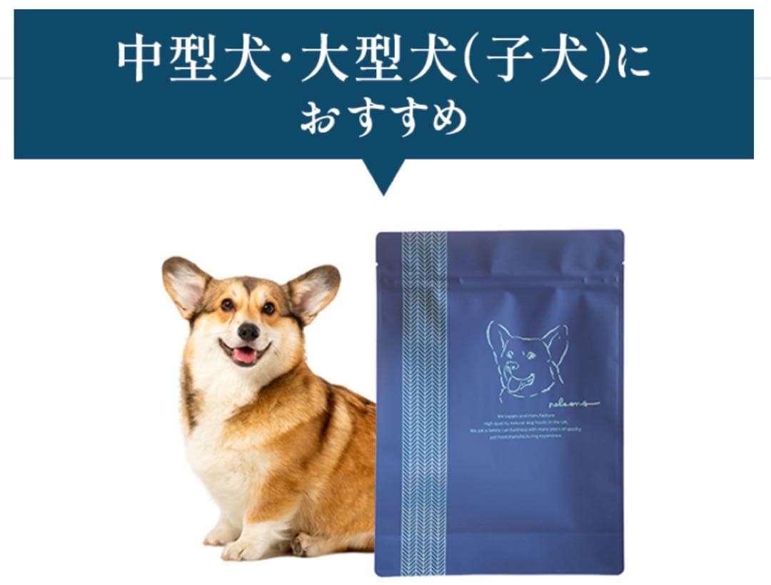 ネルソンズドックフード 5kg×3個