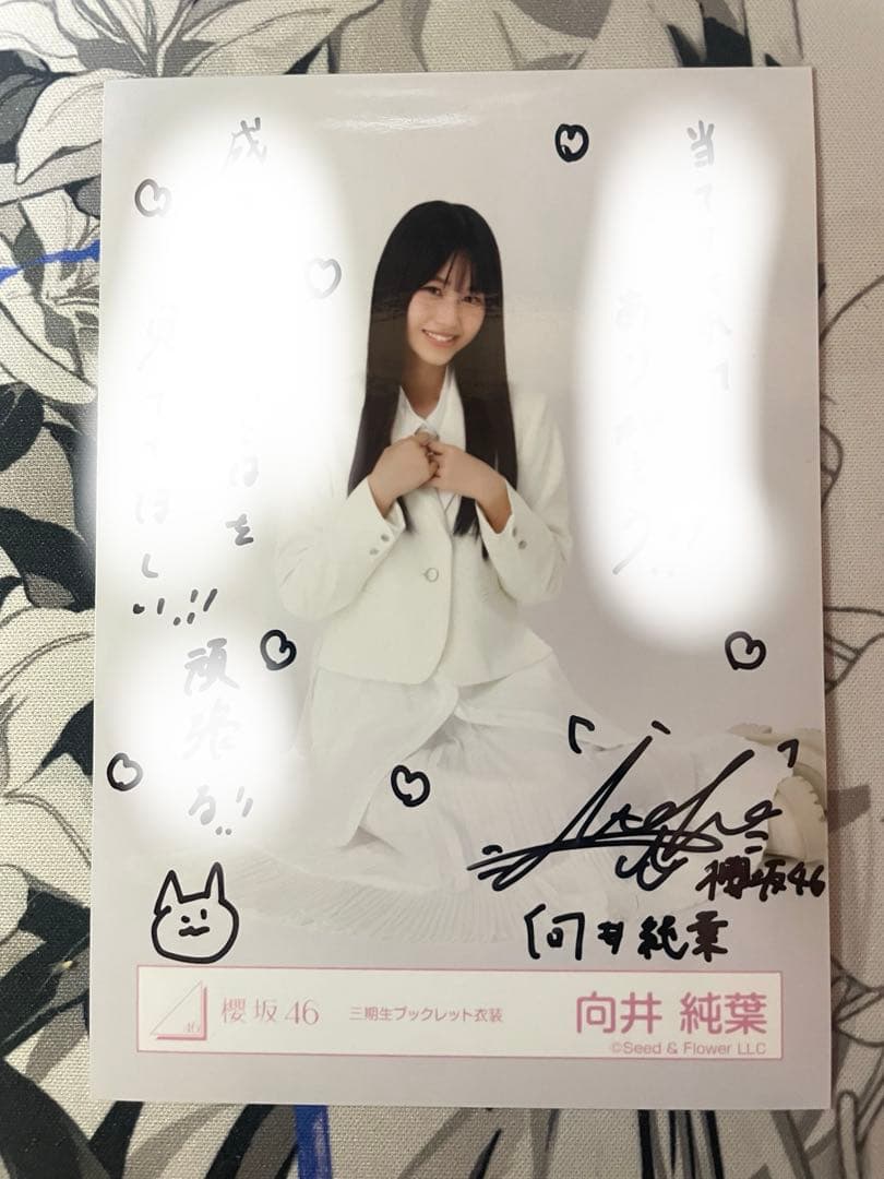 向井純葉 生写真 直筆サイン 三期生ブックレット衣装 座り