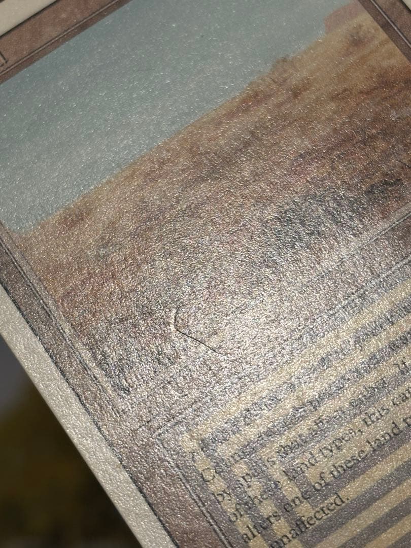 Scrubland マジック：ザ・ギャザリング カード