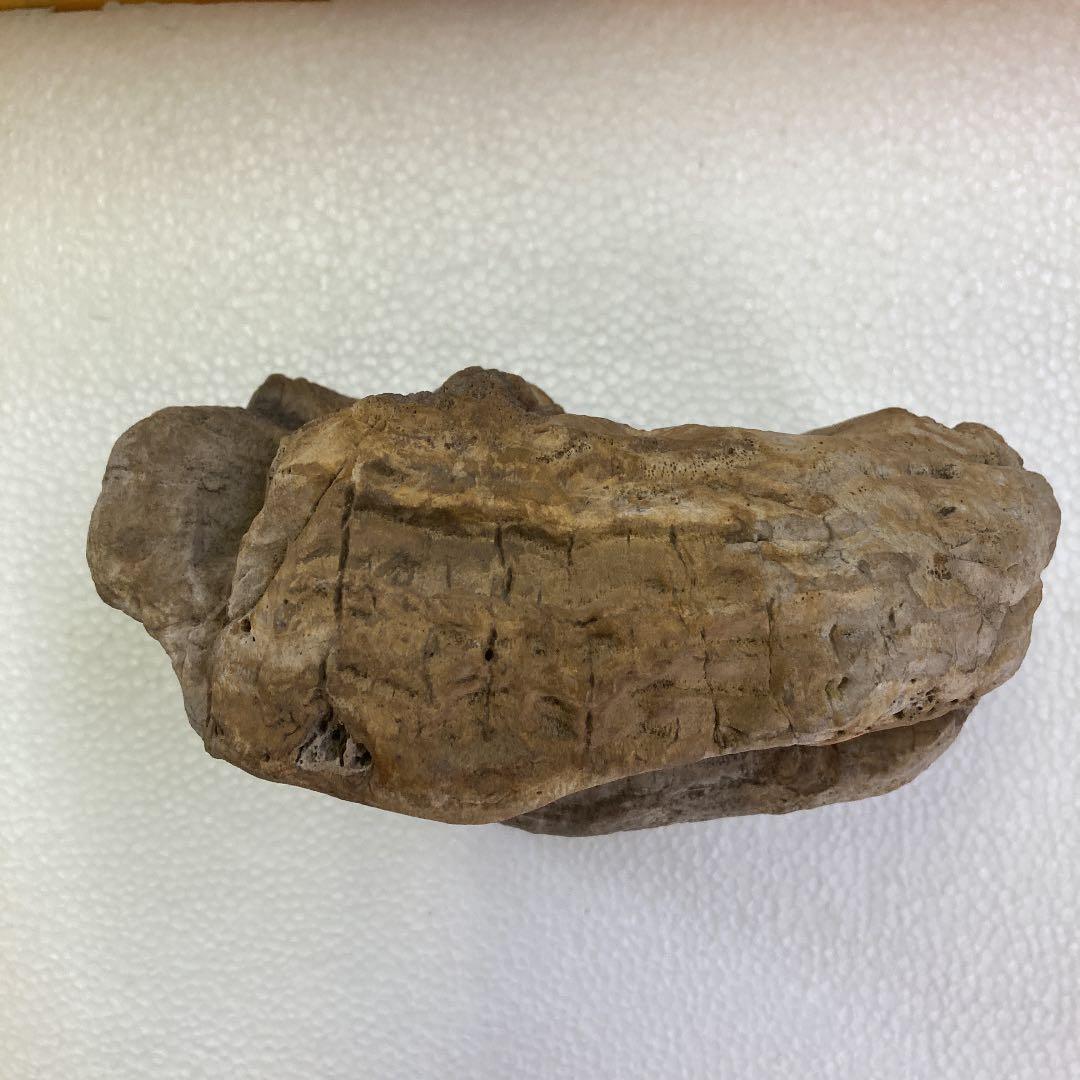 砥石の原石　19×19×8 （㎝）　6.2kg