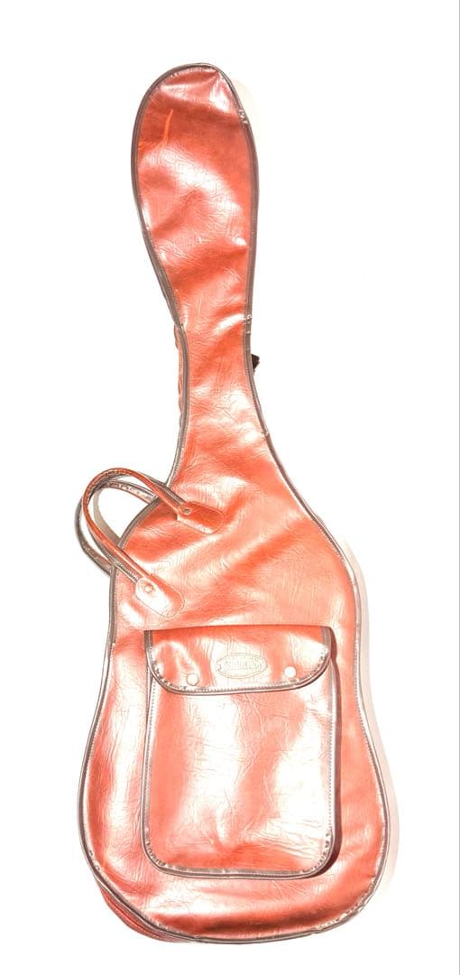 【希少】Heart Field DR-5 フレットレス ハートフィールド