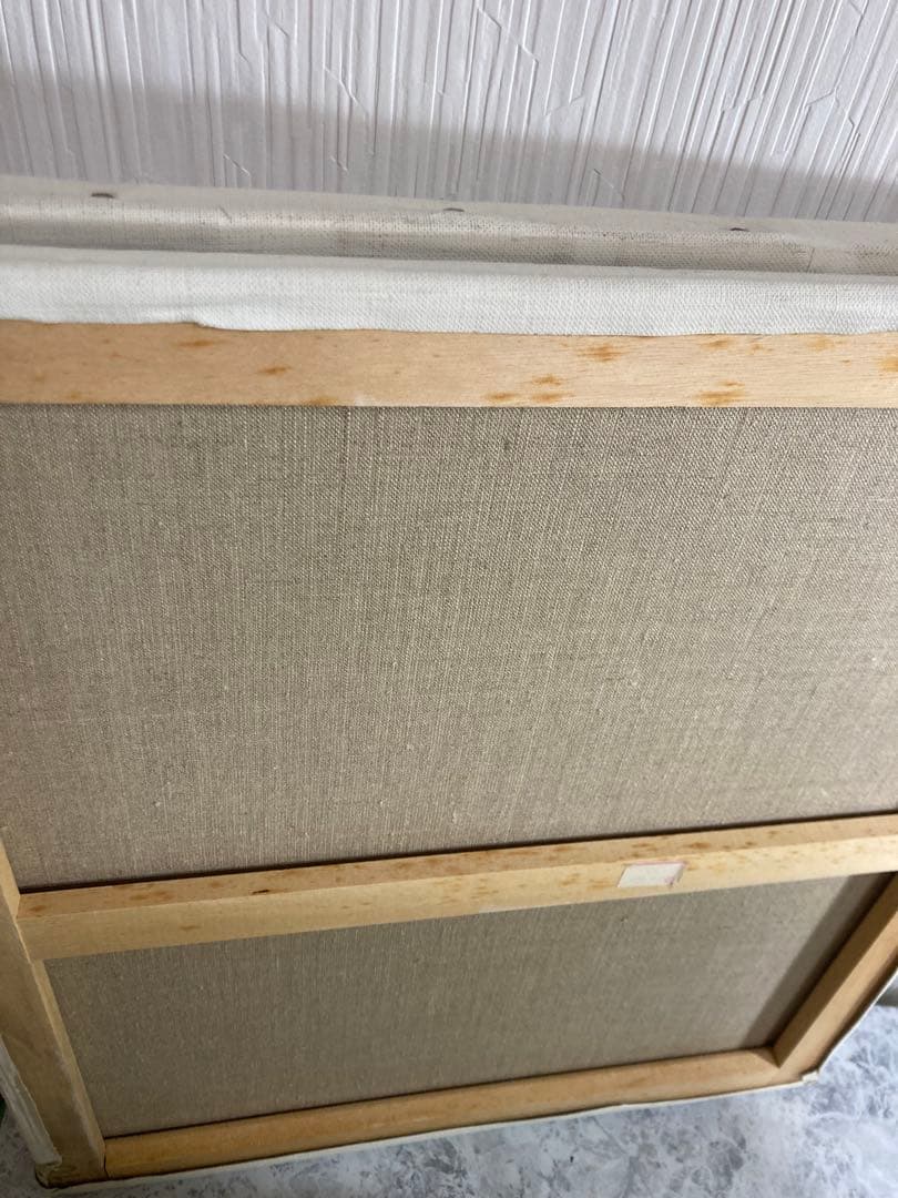 F10号キャンバス×4とF6号キャンバス×2のセット【キャンバス合計6つ】