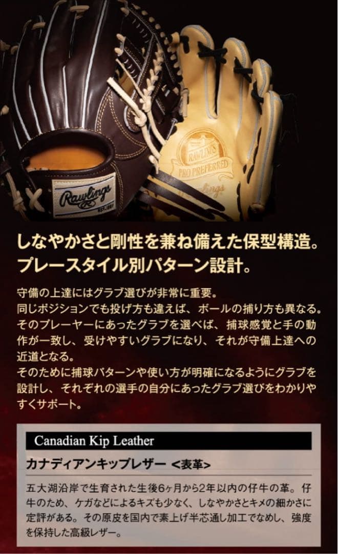 【最高級】プロプリファード　硬式用グローブ