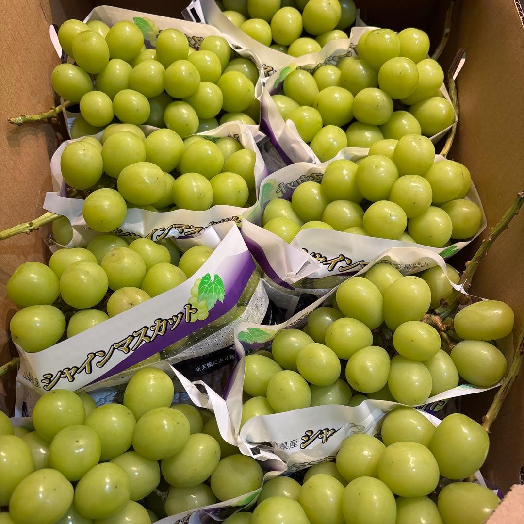 シャインマスカット 秀品8房 5キロ 3LサイズJAフルーツやまなし