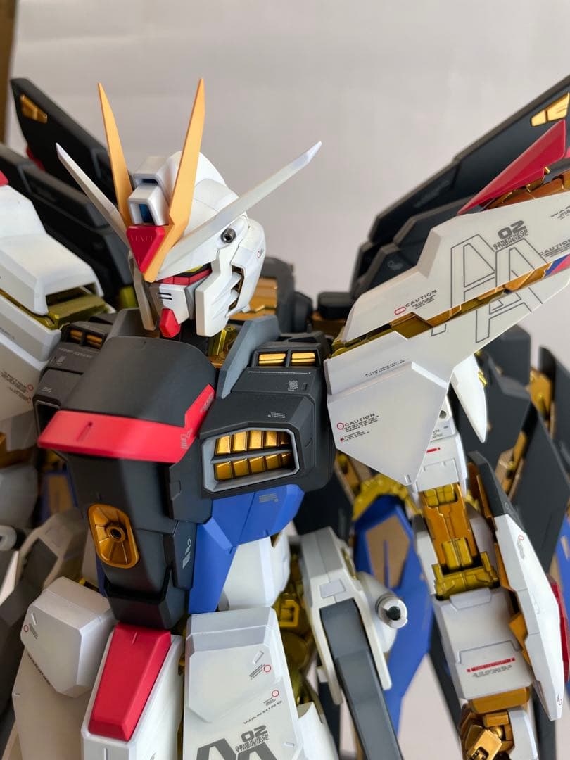 PG ストライクフリーダム ガンダム 塗装済完成品 1/60