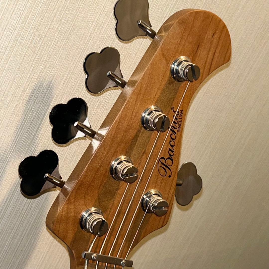 st　Bacchus/WJB5-630-RSM