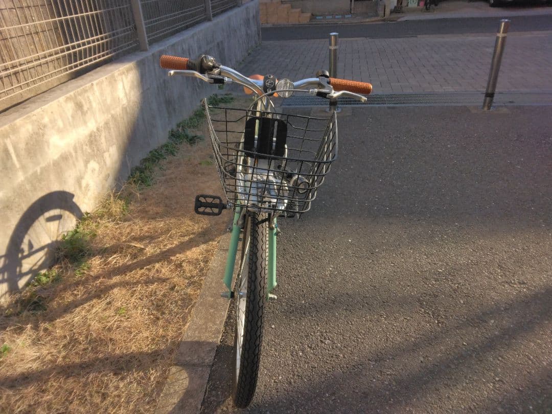 KhodaaBloomのasson jr22