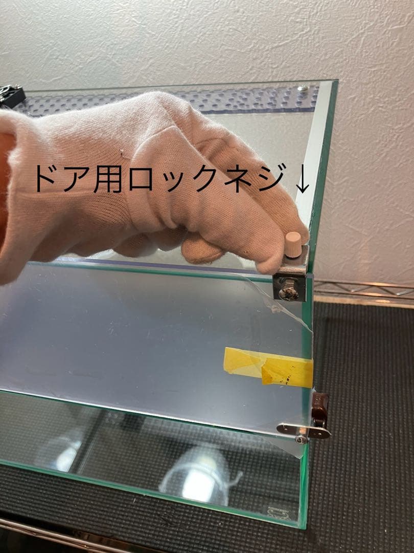 アクアサイダーのイモリウム テラリウム45cm水槽