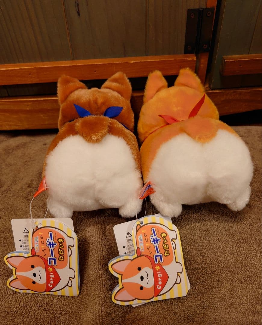 いち！にの！コーギー【新作】ただいま  STセット