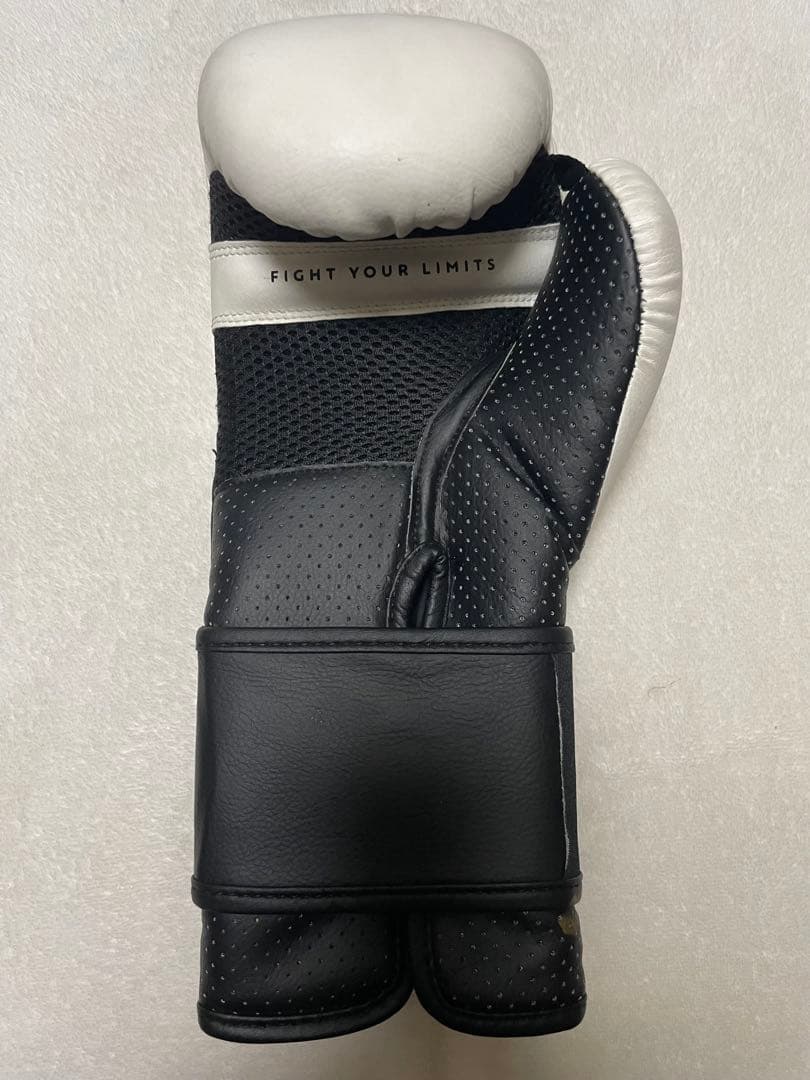 パッキャオTRNG ボクシンググローブ 8oz 直筆サイン入り右のみ