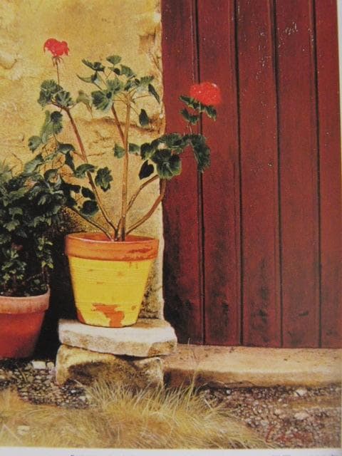 中尾新也、【石壁と植木鉢（ニヨン）】、希少な額装用画集より