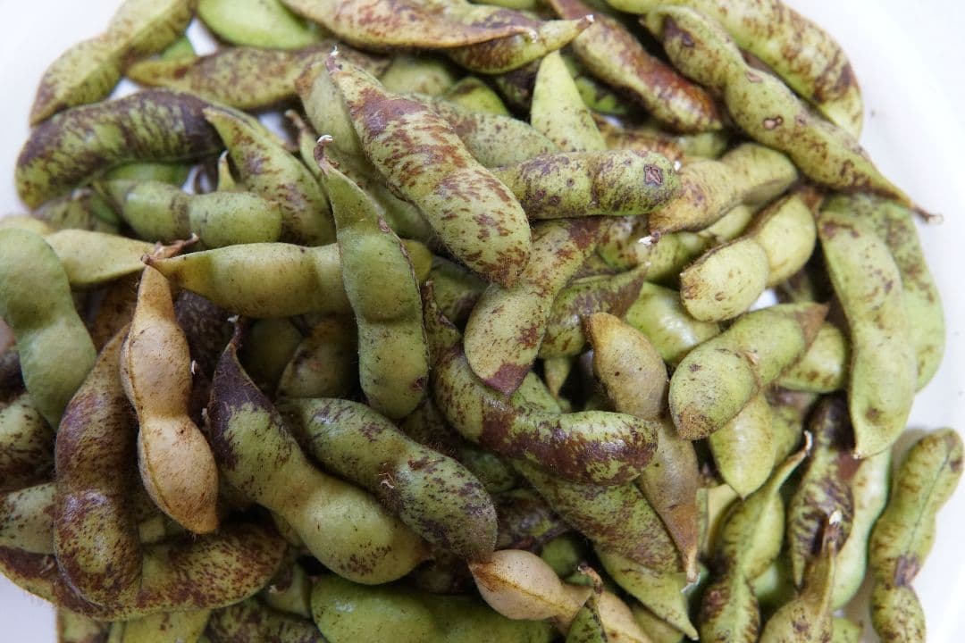 下旬♯令和7年枝豆# 岡山県産丹波黒枝豆 (作州黒)#7.2kg