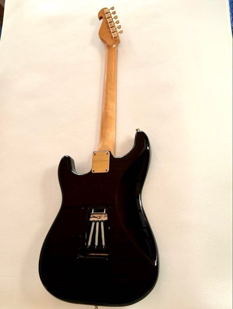 美品中古レア個体♪ Bill Lawrence BCOR シャケモデル