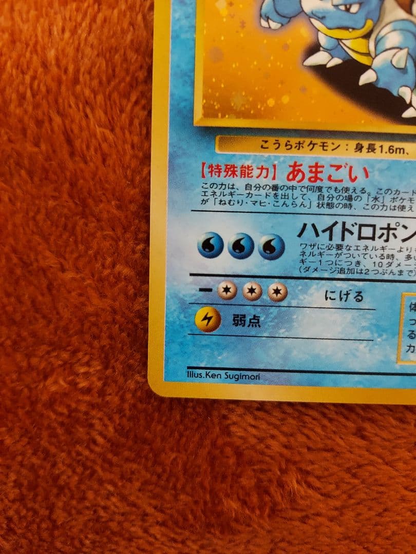 カメックス　旧裏