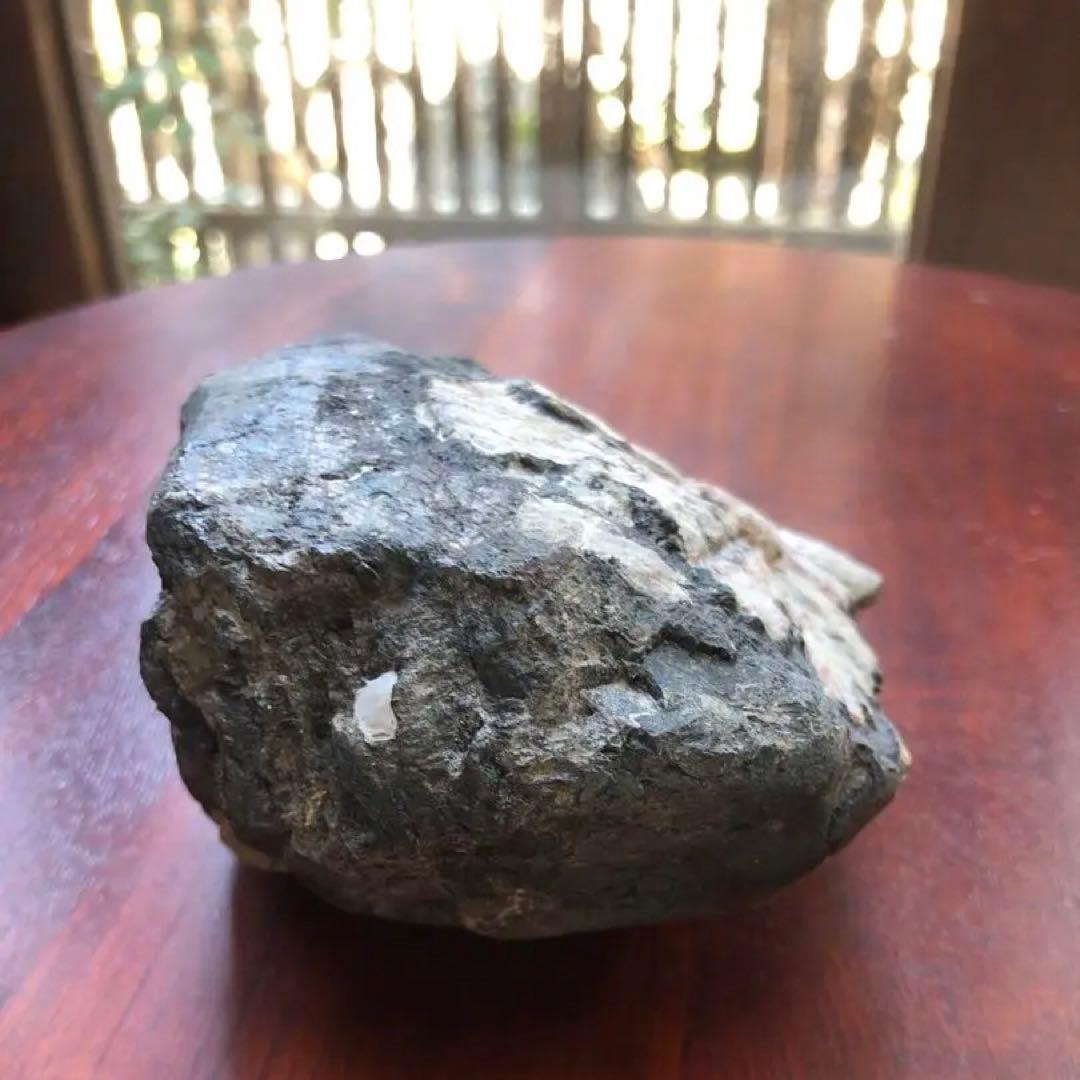 根尾谷産 菊花石｜鑑賞石・天然石｜一輪咲き・約836g