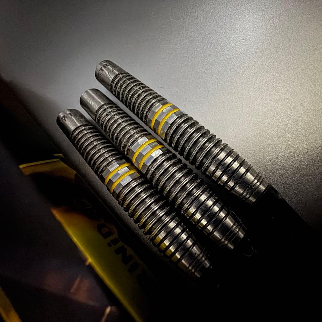 浅田斉吾モデル リカルド3 エスダーツ版