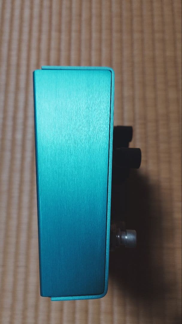 【美品 マジックテープ痕なし】strymon BigSky