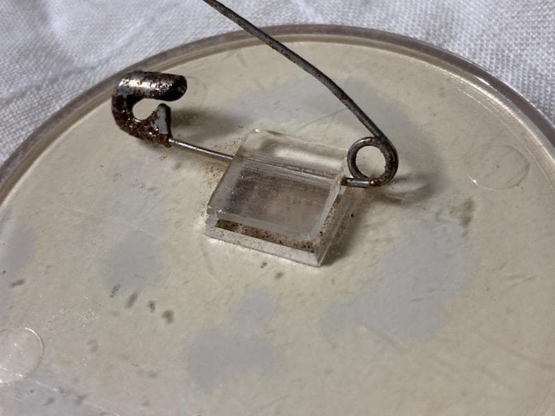 【希少！ヴィンテージ】キャンディキャンディ プラスチック製バッジ いがらしゆみこ