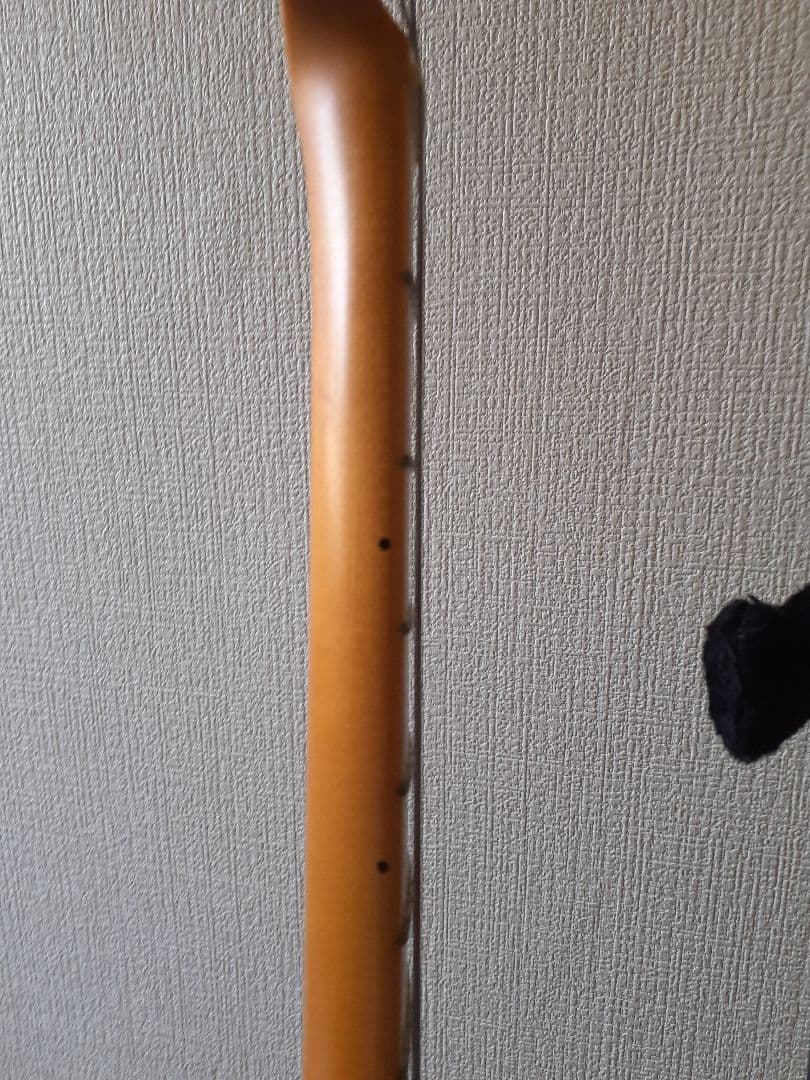 ギター Fender USA Professional Stratocaster HSS