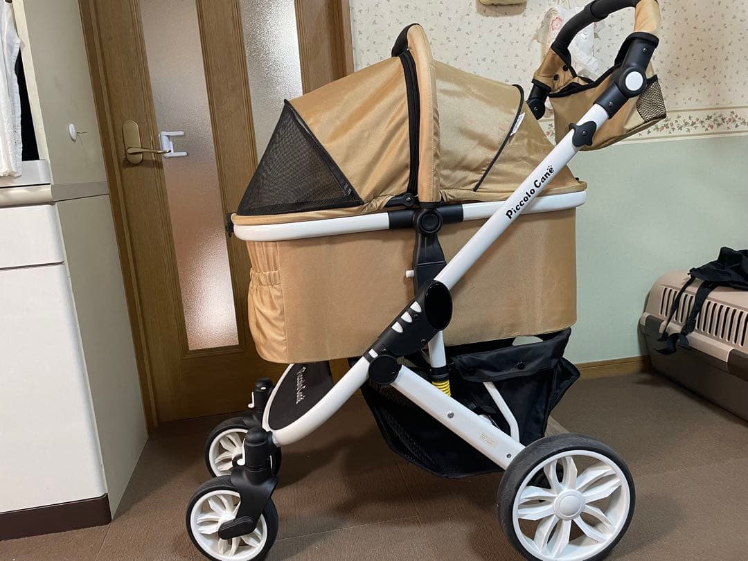 Piccolo Cane TANTO3 人気のシャンパンゴールド