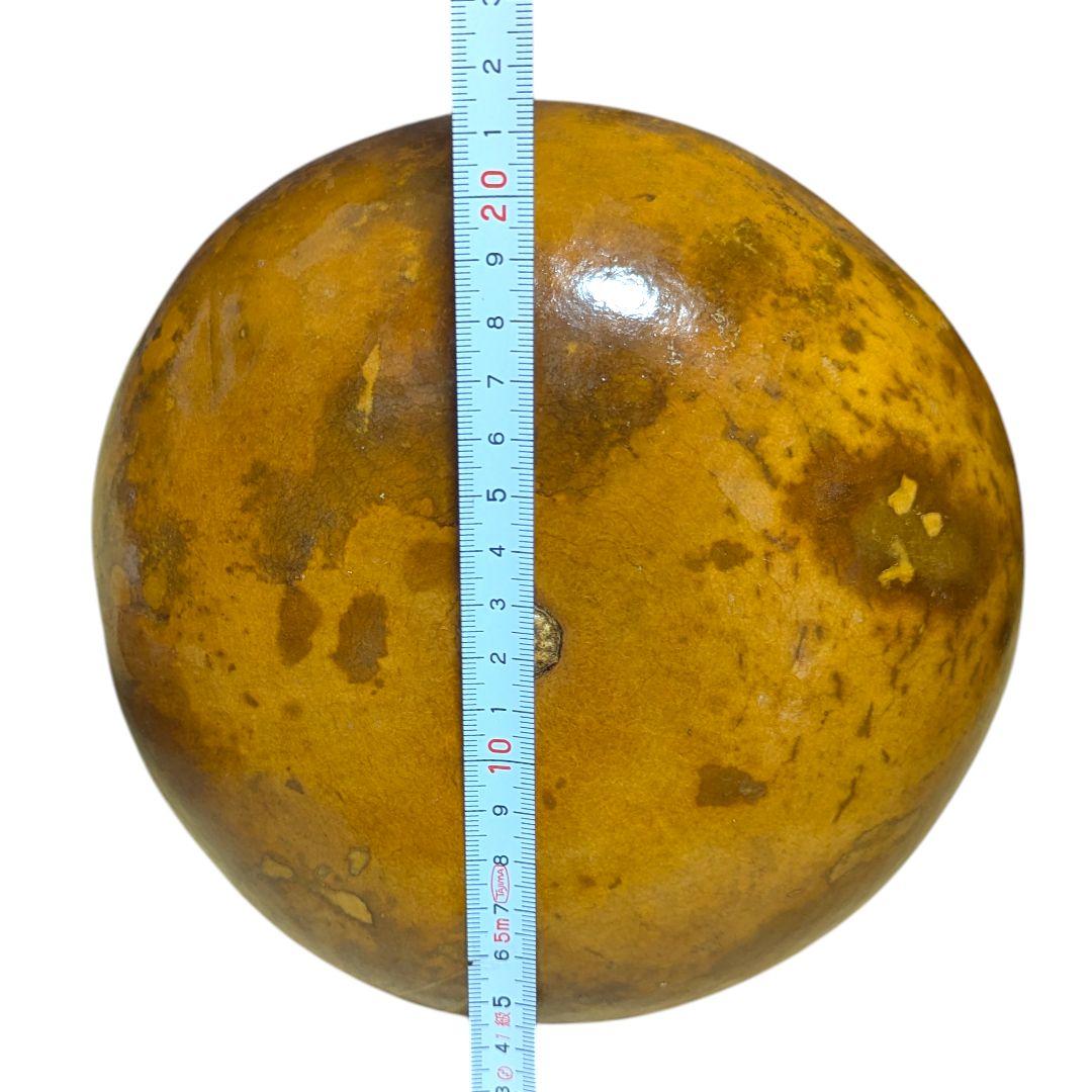 イプヘケオレ　フラ楽器　イプ　フラダンス　持ち手付き