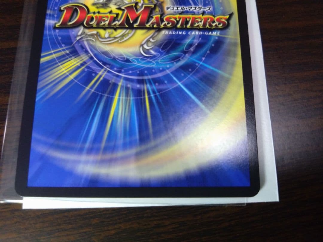 水上第九院　シャコガイル　b